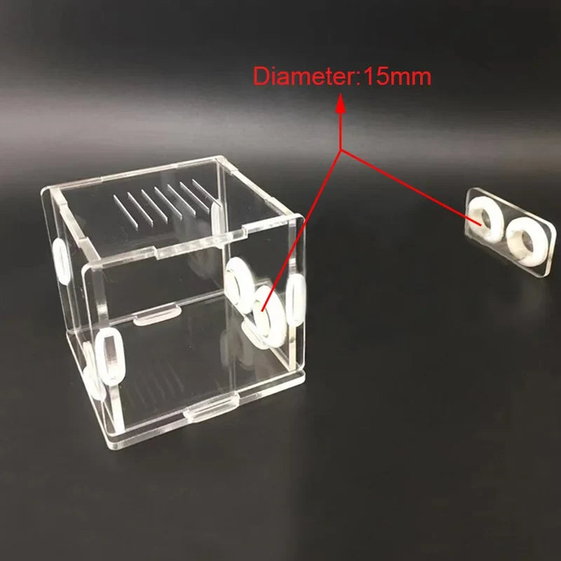DIY Various Size Ant Farm Bamboo Tube Nest – Coops, Nests & Incubators
