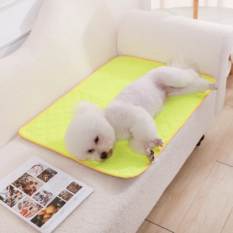 Reusable Pet Diaper Mat Dog Mat Washable Dog - MyPetDollar.com
