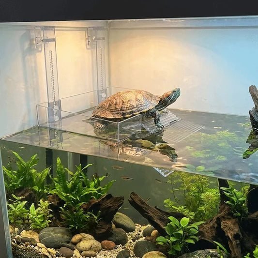 Plastic Turtle Basking Platform Suction Cup for Reptiles