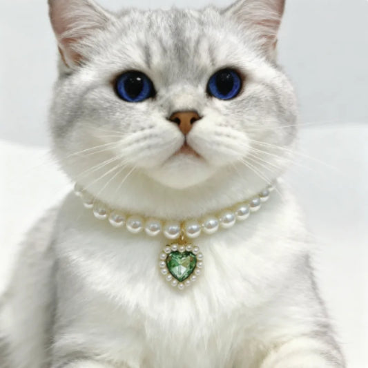 Princess Style Pet Pearl Collar for Dogs - MyPetDollar.com