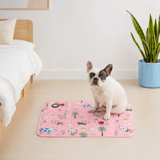 Portable Cartoon Pet Cooling Mat Anti Bite - MyPetDollar.com