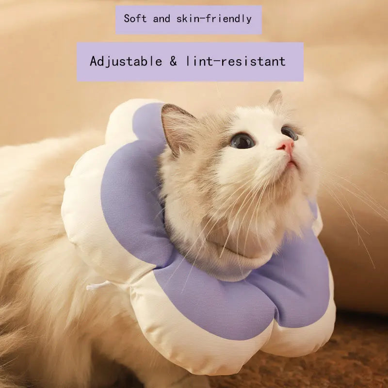 Pet Elizabeth Collar for Cats & Dogs Soft - MyPetDollar.com