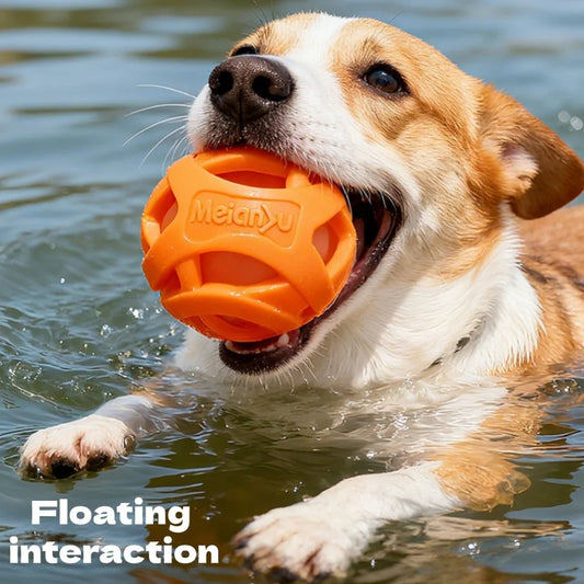 Durable Hollow Elastic Dog Chew Ball - MyPetDollar.com
