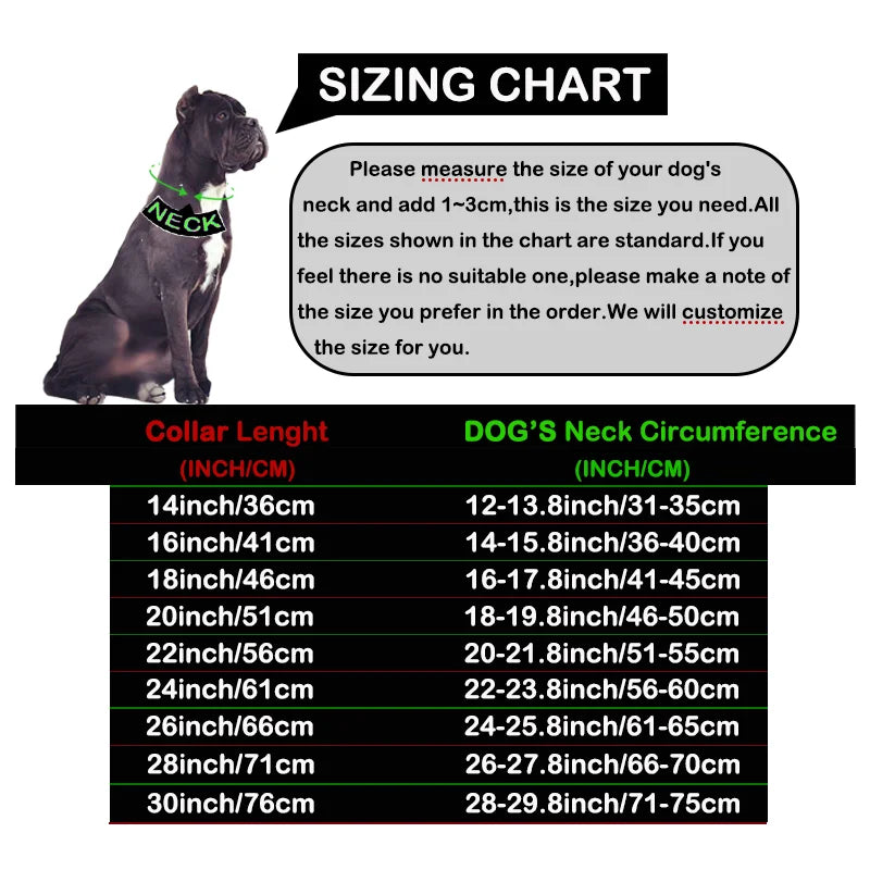 Metal Collar for Large Dog Gold Silver Pet - MyPetDollar.com