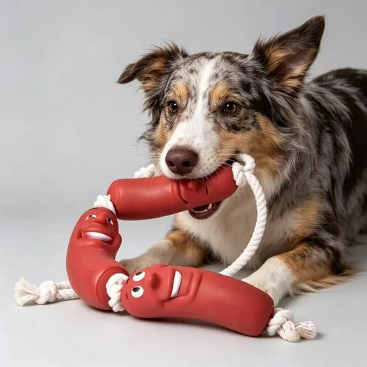 1PCS Dog Sausage Toy, Funny Knot, Tug of War - MyPetDollar.com