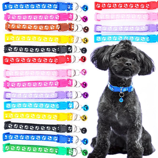 Colorful Pet Pattern Small Dog and Cat - MyPetDollar.com