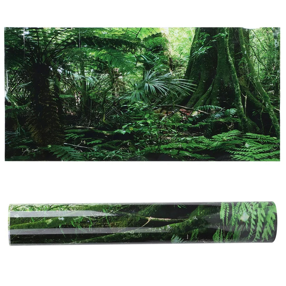 PVC Reptile Box Rainforest Background Poster - MyPetDollar.com