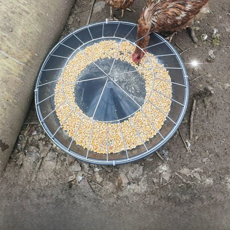 New Automatic Feeder Chicken Duck Goose - MyPetDollar.com