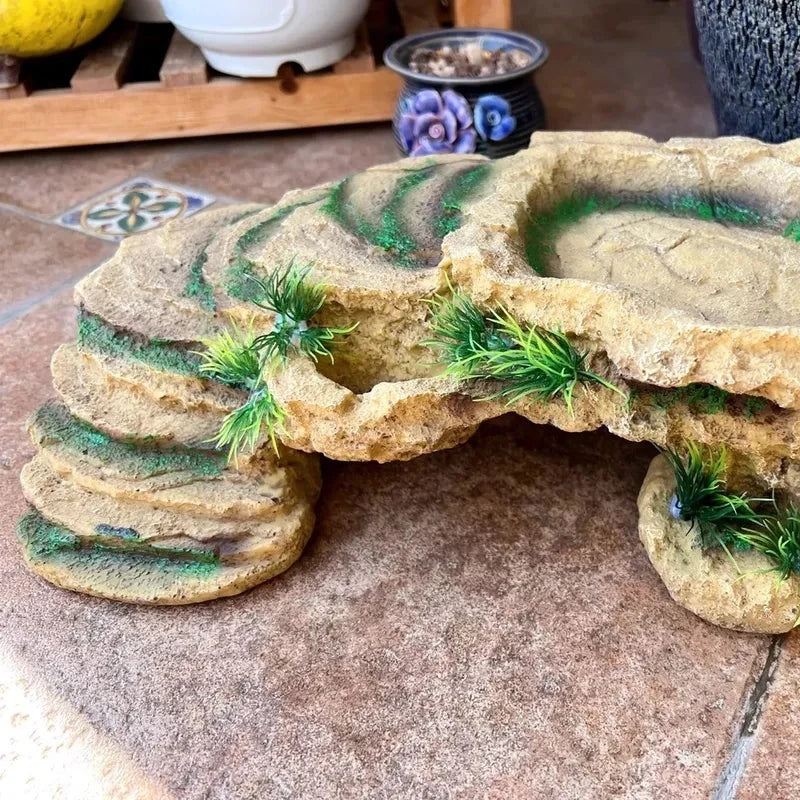 Turtle Platform Rectangular Aquarium Fish - MyPetDollar.com