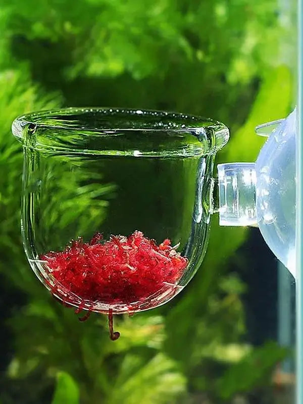Clear Aquatic Plant Cup With Suction Holder - MyPetDollar.com