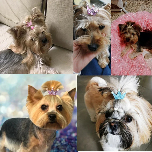 Bling Crown Shape Pet Hair Bow Cute Dog Cat - MyPetDollar.com