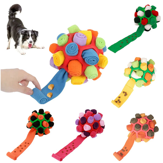 Dog Sniffing Ball Innovative Pet Shaking - MyPetDollar.com