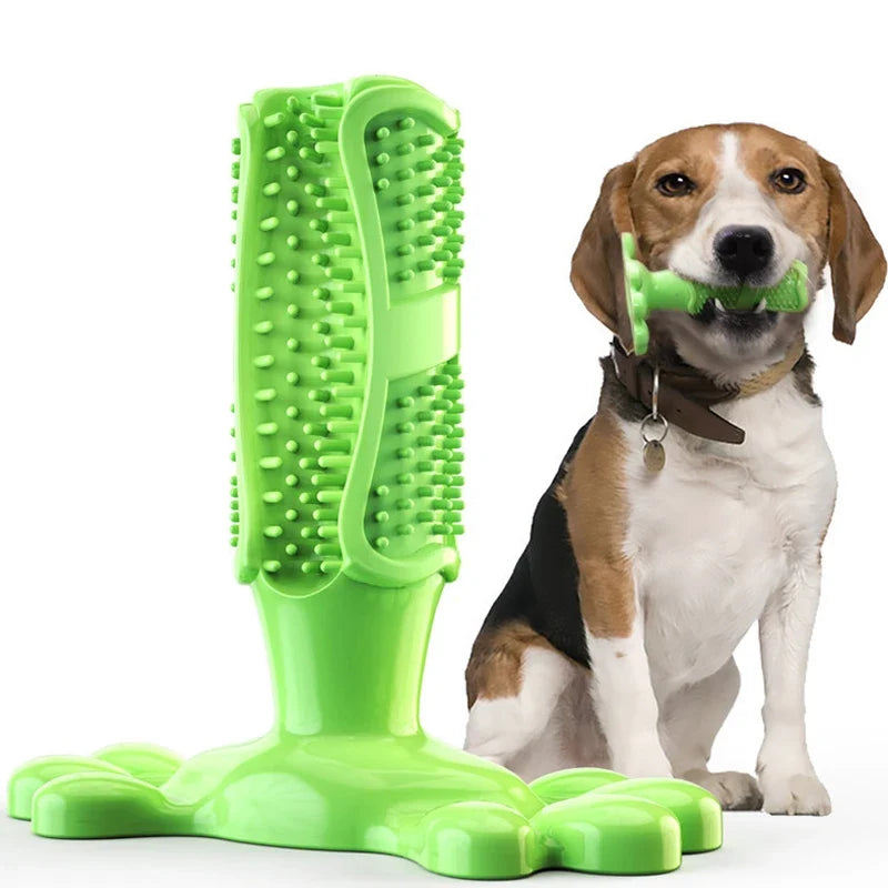 Pet Dog Cactus Interactive Rubber Bite - MyPetDollar.com