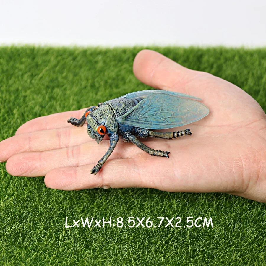 Realistic Insect Grasshopper Mosquito Cicad - MyPetDollar.com