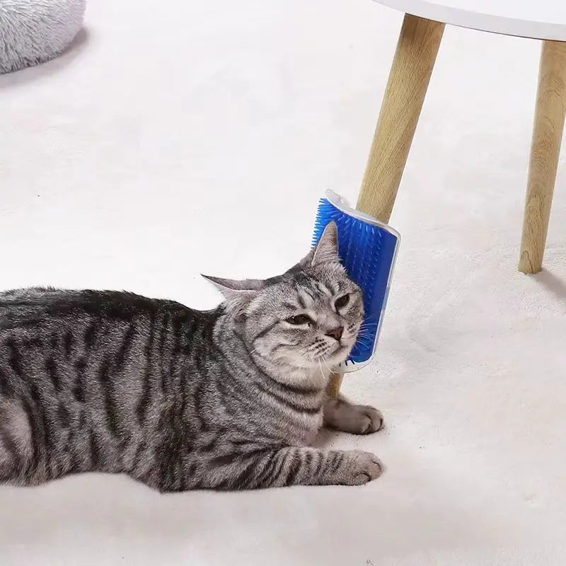 Cat Massage Tool Pet Hair Removal Massage - MyPetDollar.com