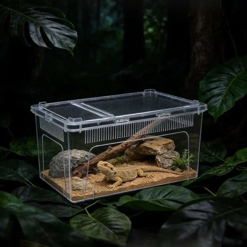 Clear Plastic Reptile Terrarium Ventilated - MyPetDollar.com