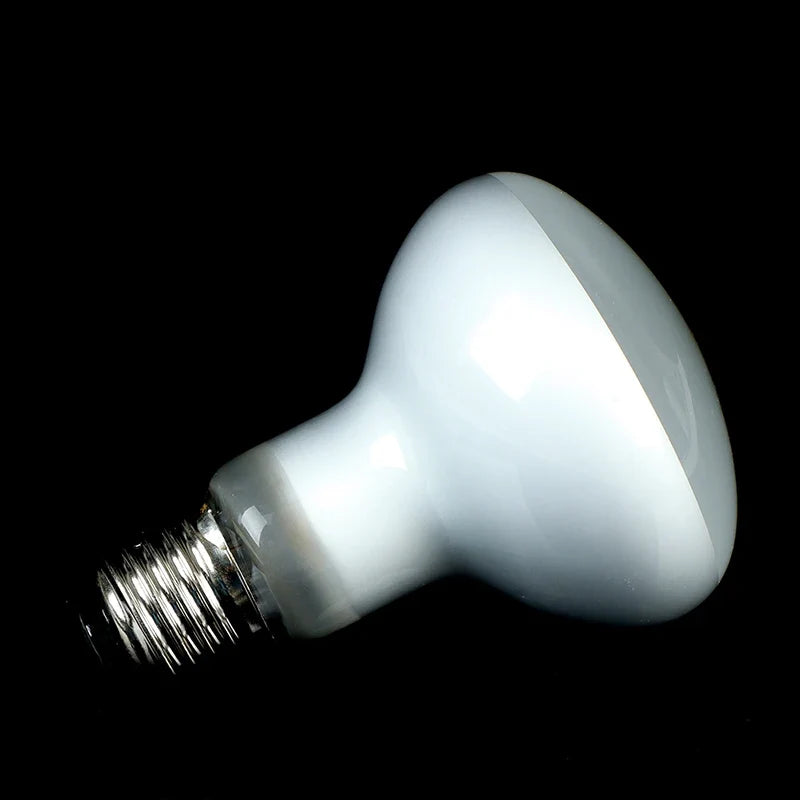 New 1PCS UVA+UVB Reptile Lamp Bulb Turtle - MyPetDollar.com