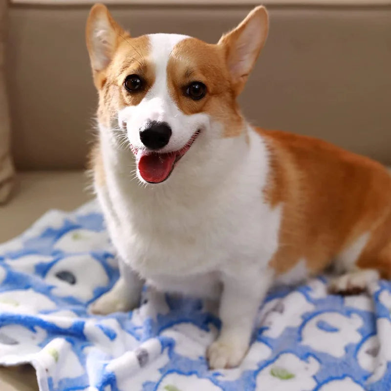 Soft Fluffy Pet Blanket High Quality Flannel - MyPetDollar.com