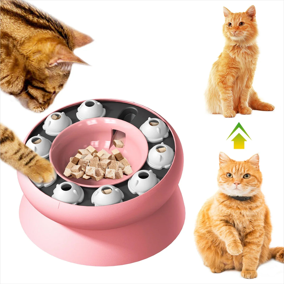 Cat Toys Slow Feeder Cat Bowl Interactive - MyPetDollar.com