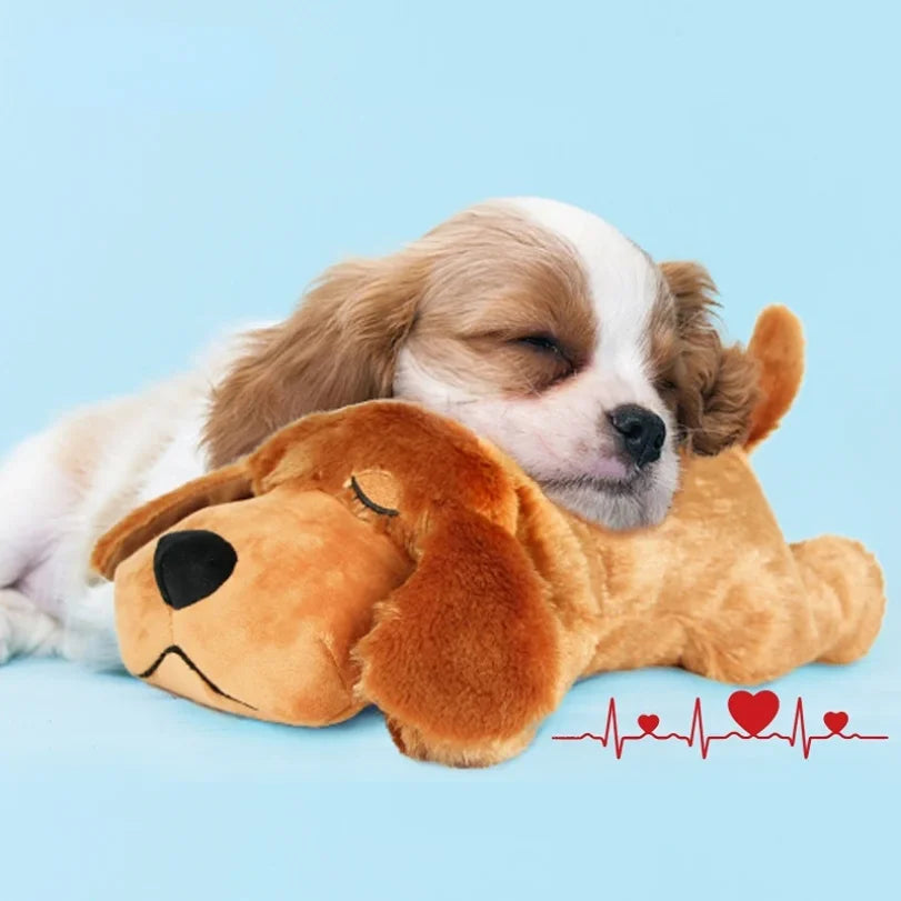 Pet Heartbeat Puppy Behavioral Training Dog - MyPetDollar.com