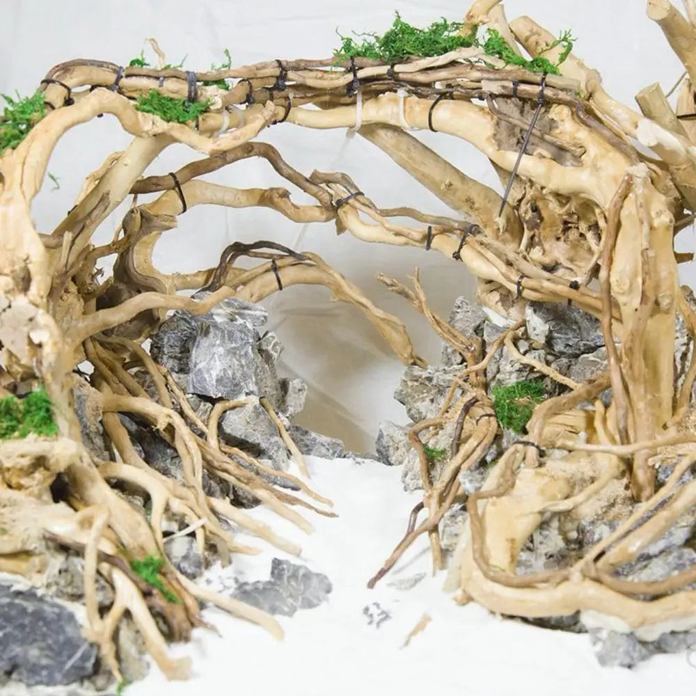 Wood N1N Reptile Tank Background Aquarium - MyPetDollar.com