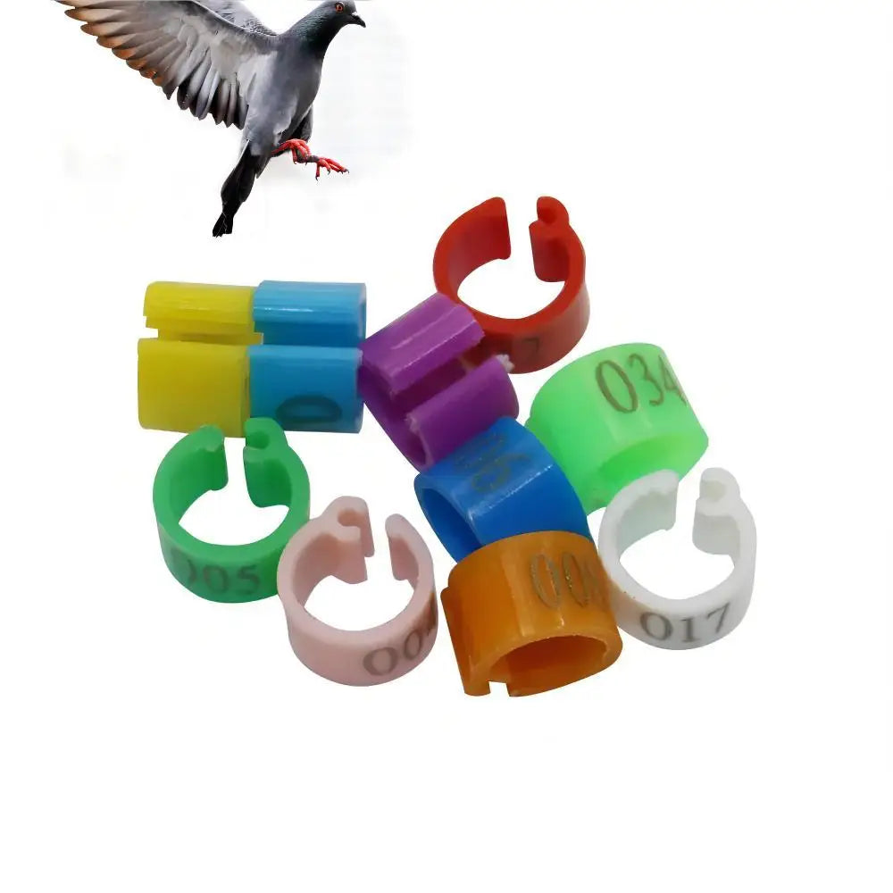 100Pcs Pigeon Anklet Inner Diameter 6mm Bird - MyPetDollar.com