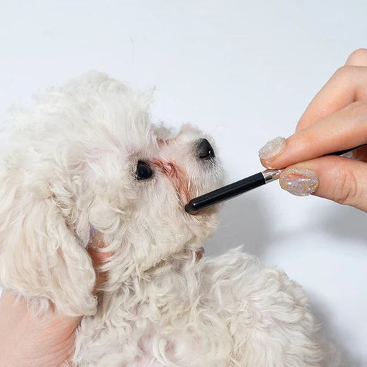 Pet Facial Cleaning Comb Set Remove Tear - MyPetDollar.com