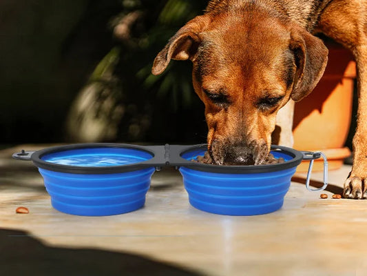 Portable Foldable 2-in-1 Dual Bowl for Dogs - MyPetDollar.com
