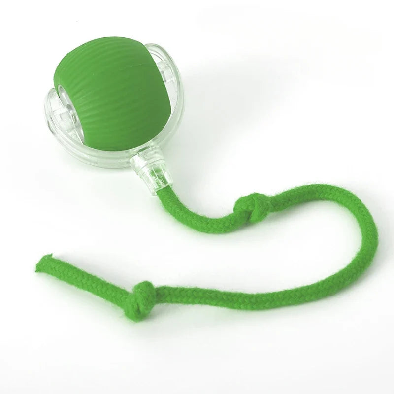 Cat Interactive Ball Plaything