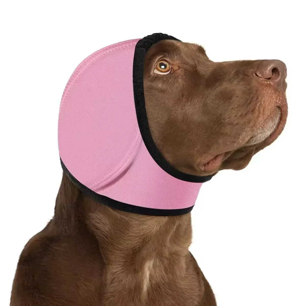 1pc Pet Grooming Hood, Dog Calming Cap Ear - MyPetDollar.com