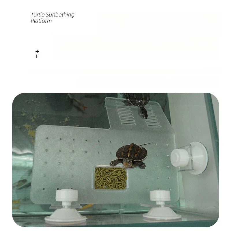 Floating Turtle Basking Platform Climbing - MyPetDollar.com
