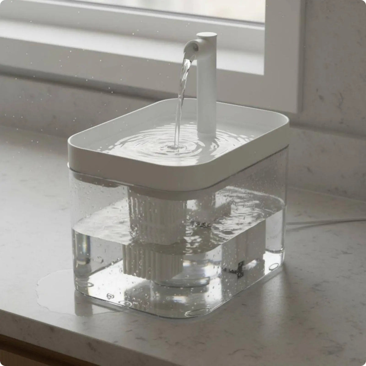 Automatic Pet Water Dispenser Easy to - MyPetDollar.com