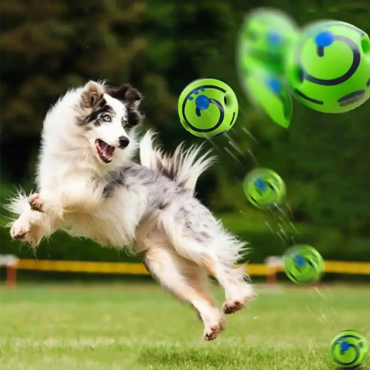 Funny Interactive Giggle Ball - Balls for - MyPetDollar.com