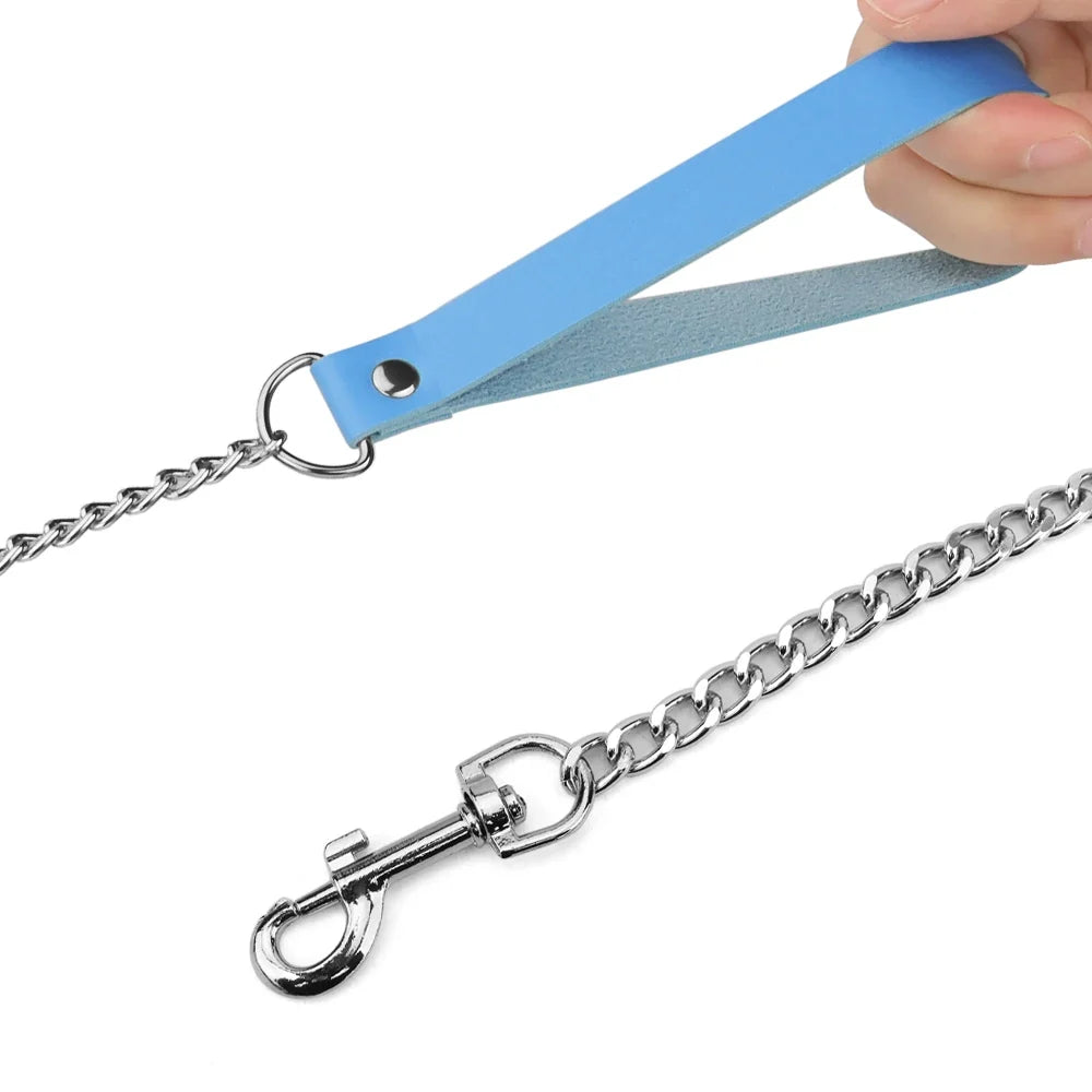 Leather Dog Leash Metal Alloy Pet Dog Leash - MyPetDollar.com