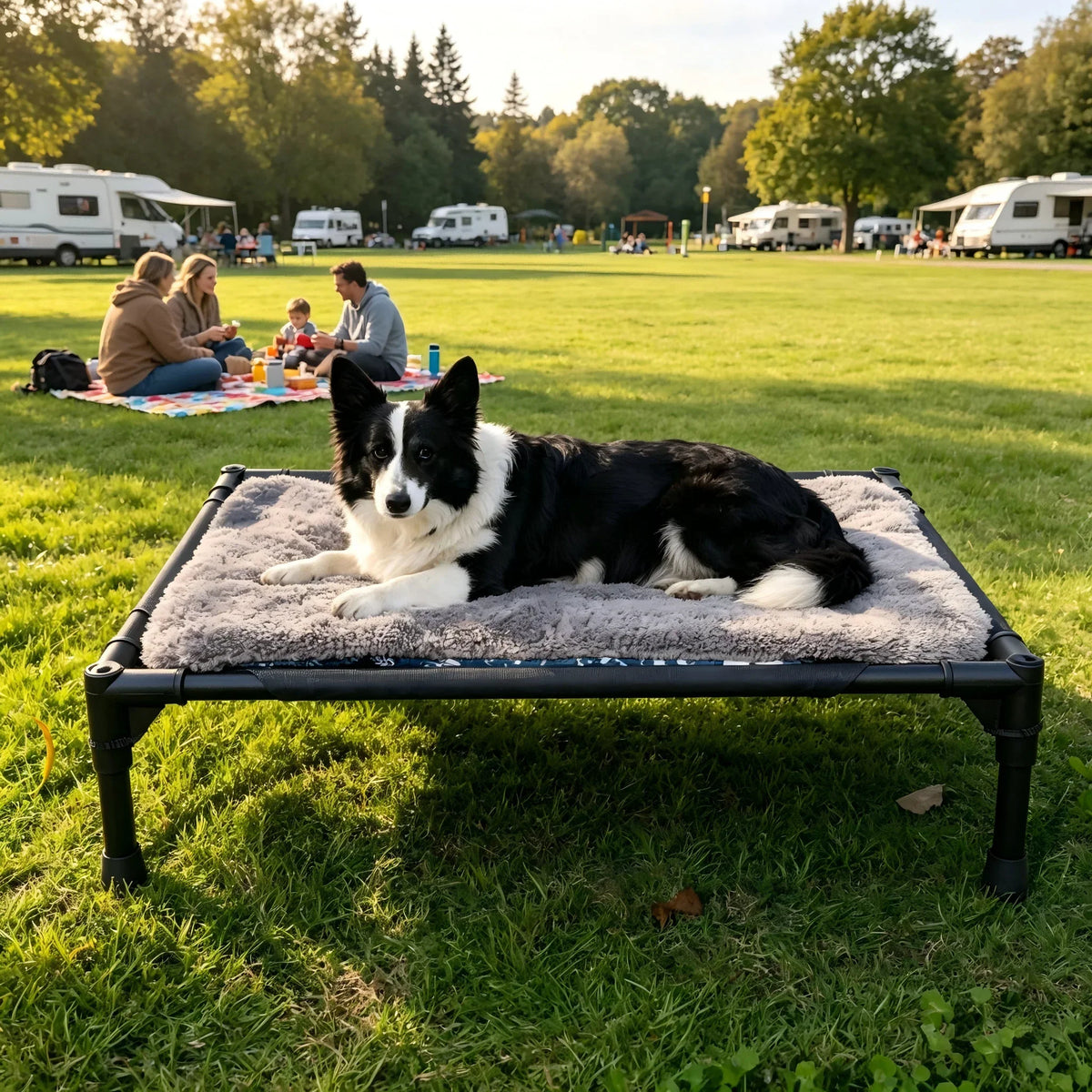 CLS Pet Camping Cot for Small Medium Dogs – - MyPetDollar.com