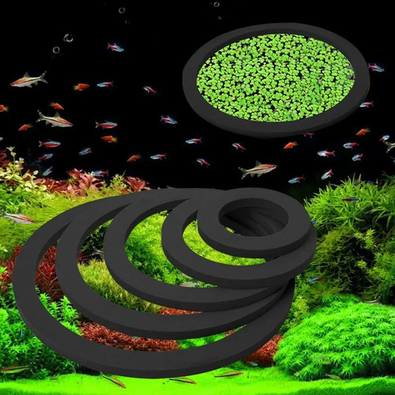5/10Pcs Aquarium Floating Plant Rings Fish - MyPetDollar.com