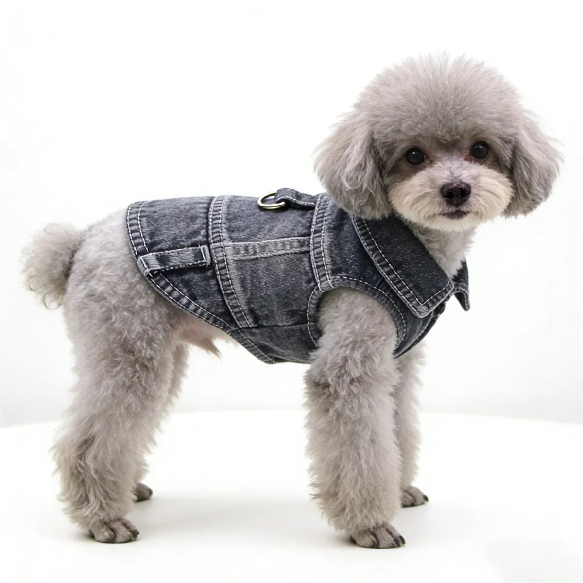 Puppy Spring Clothes for Small Medium Dogs - MyPetDollar.com