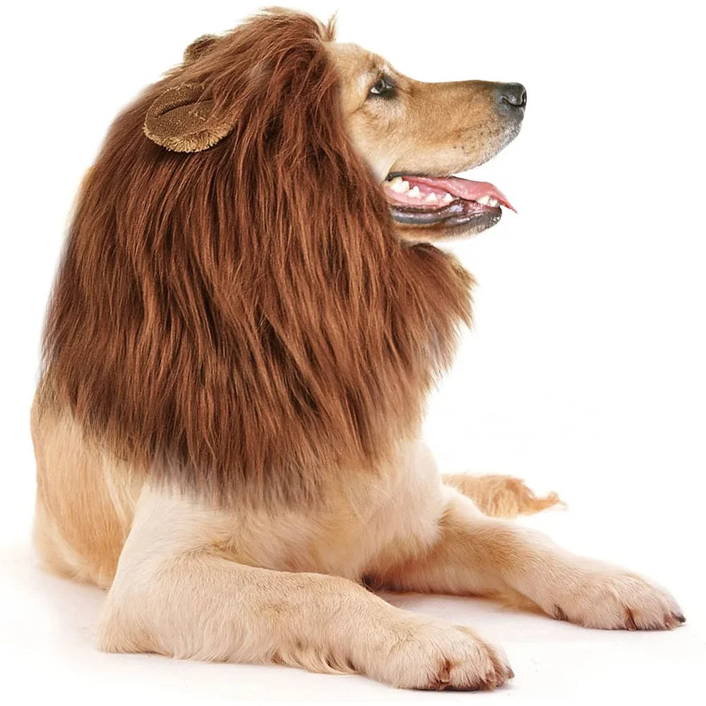 Large Dog Ears, Pet Accessories Cute Role Playing Costumes – Dog Supplies