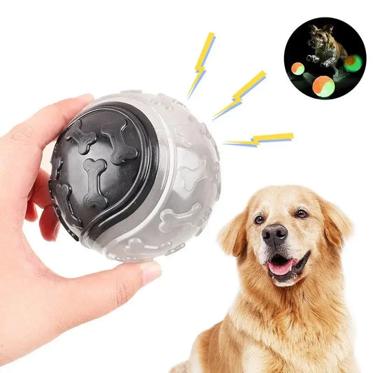 Dog Luminous Ball Squeaky Dog Toy Ball Dog - MyPetDollar.com