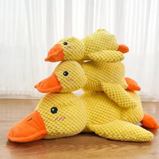Hot dog sleeping with duck toys to relieve - MyPetDollar.com