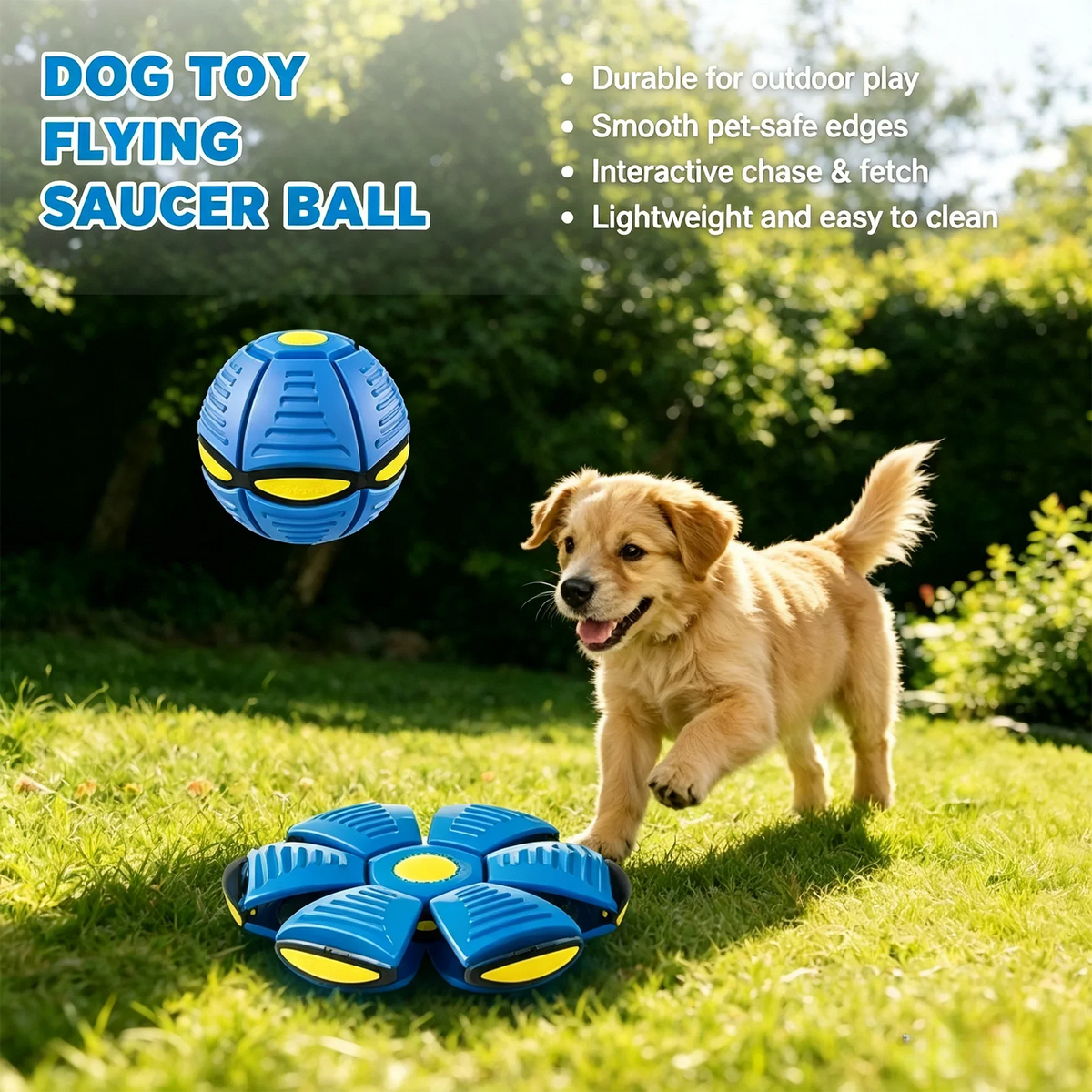 Six-light dual-mode magical transforming pet - MyPetDollar.com