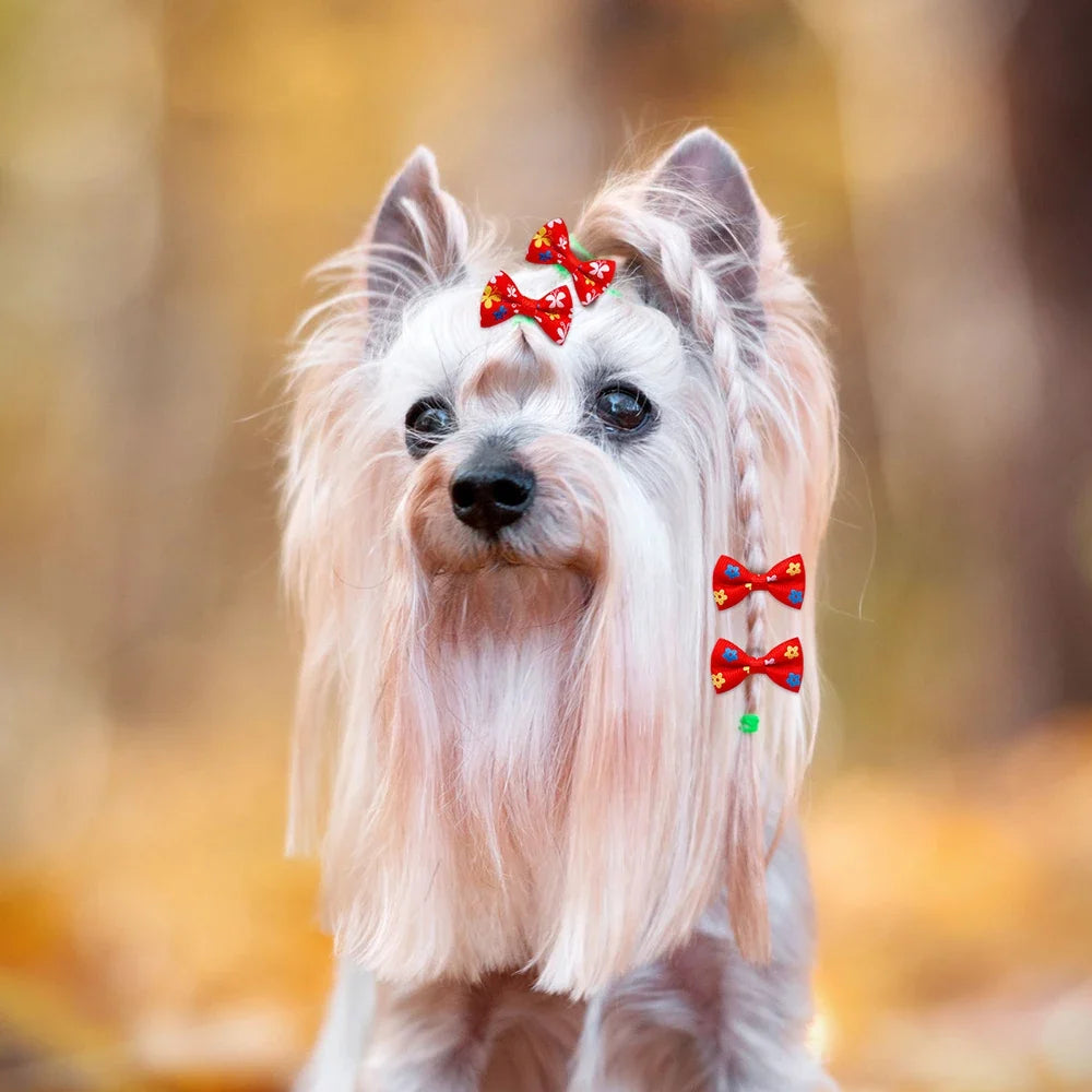 30PCS Small Dog Bows Pet Dog Hair - MyPetDollar.com