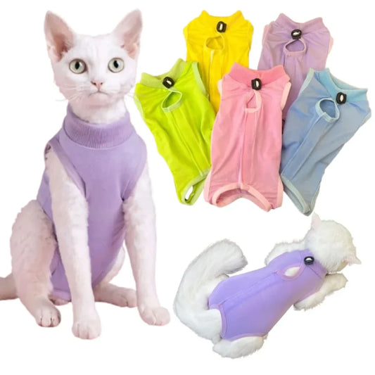 Cats Surgery Recovery - MyPetDollar.com