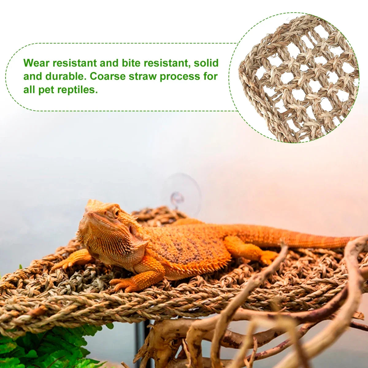 Reptile Hammock Terrarium Decoration For - MyPetDollar.com