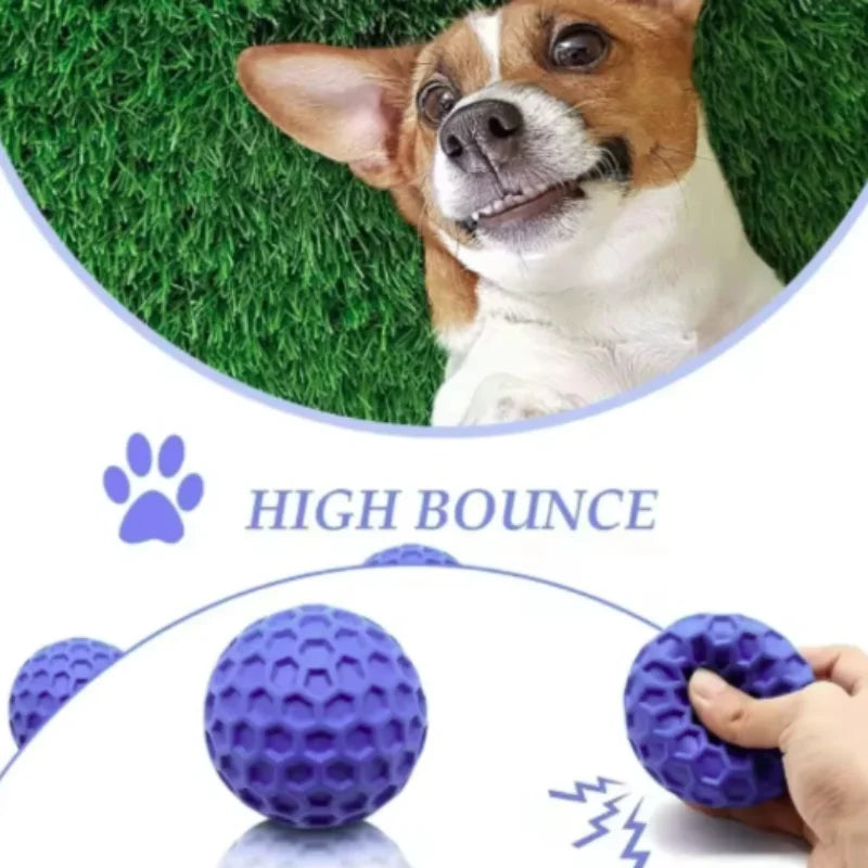 New Dog Toys Bite Resistant Interactive - MyPetDollar.com