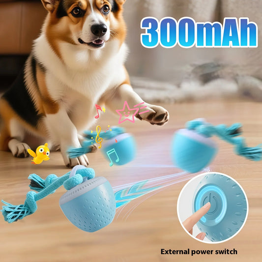 Smart Dog Toy Ball Electronic Pet - MyPetDollar.com
