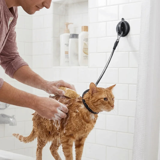 Professional Dog Bathing Tether Anti - MyPetDollar.com