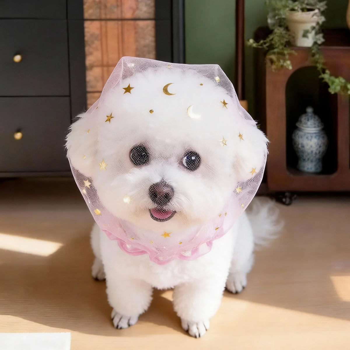 Pet Anti-accidental Ingestion Breathable Portable Outdoor Dog
