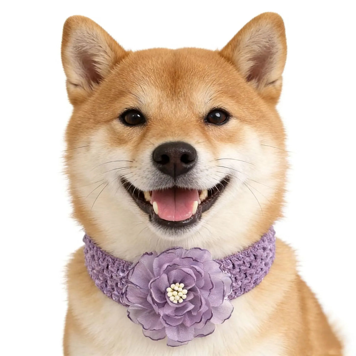 50/30pcs Easter Style Pet Dog Bowtie with - MyPetDollar.com