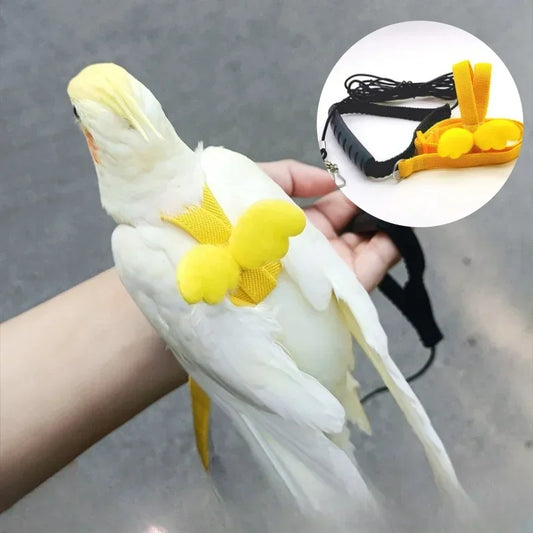앵무새 Adjustable Parrot Bird Harness Leash Set - MyPetDollar.com